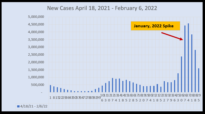 February 8 New Cases