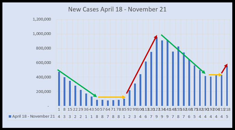 November 24 New Cases